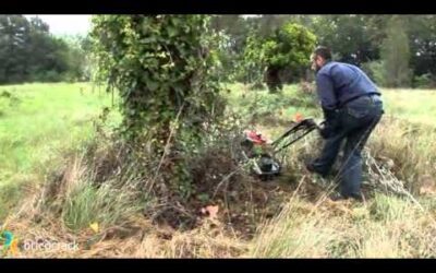 Herramientas Efectivas para Desbroce en Terrenos Dañados